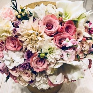 Meet your Posher, Lisa